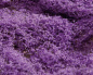 Preview: Faller 171639 Blumenwiesenvlies, fein, violett blühend