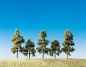 Preview: Faller 181414 H0/TT/N 5 Obstbäume grün