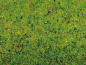 Preview: NOCH 00270 Grasmatte Blumenwiesen