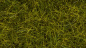 Preview: NOCH 07110 Wildgras XL Wiese 12mm, 40g