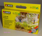 Preview: NOCH 14136 H0 LC minis »Pestwurz«, 18 Pflanzen