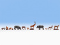Preview: NOCH 15745 H0 Waldtiere