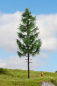 Preview: NOCH 20197 Hochstammfichte, 23cm hoch