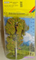 Preview: NOCH 21650 H0/TT/N Vogelbeerbaum mit Beeren (hellgrün)