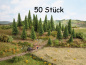 Preview: NOCH 26826 Modellfichten, 50 Stück, 5-14 cm hoch