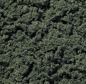 Preview: NOCH 95530 (Woodland FC184) Clump Foliage, dunkelgrün