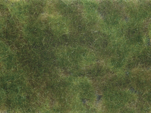 NOCH 07251 Bodendecker-Foliage olivgrün