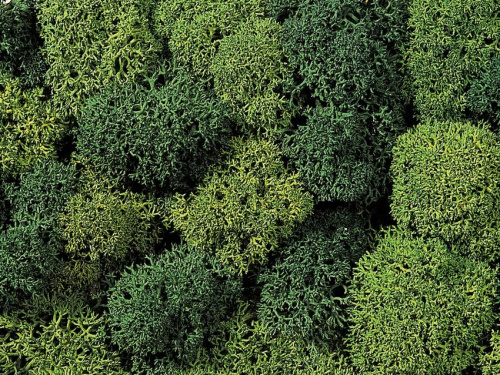 NOCH 08610 Dekormoos hell/dunkelgrün sortiert, 35g