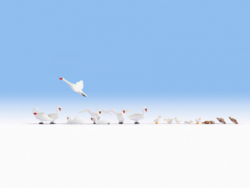 NOCH 15774 H0 Schwäne und Enten