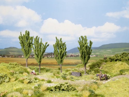 NOCH 21006 H0/TT/N 4x Pappel