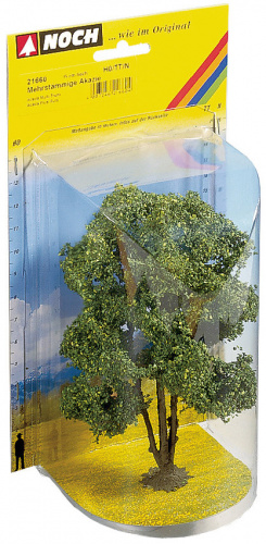 Preview: NOCH 21660 H0/TT/N Mehrstämmige Akazie