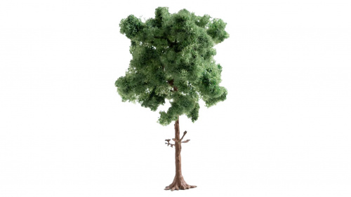 NOCH 21911 Kiefer, 12cm hoch