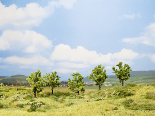 NOCH 25001 H0/TT 5x Obstbaum grün