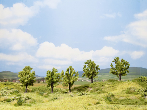 NOCH 25002 H0/TT 5x Apfelbaum