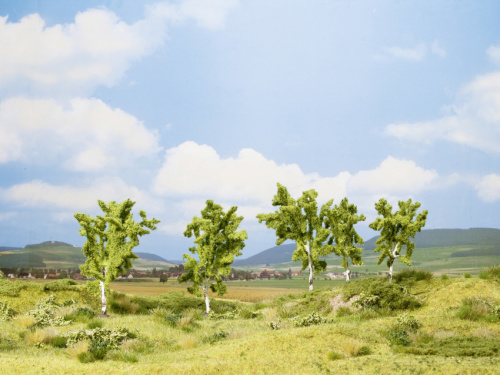 NOCH 25004 H0/TT 2+3x Birke