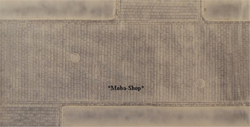 NOCH 57217 H0 3D Pflasterstraße mit Abzweigung, Strukturfolie