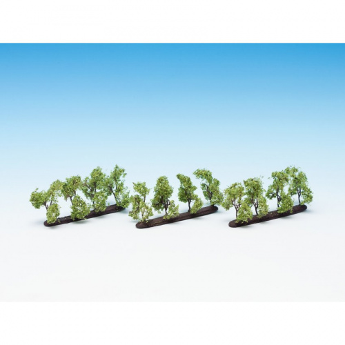 NOCH 21530 H0/TT Plantagenbäume, 12 Stück