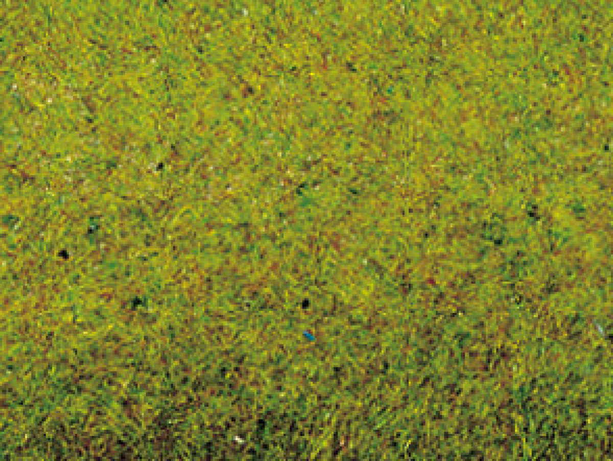 NOCH 00280 Grasmatte Sommerwiesen