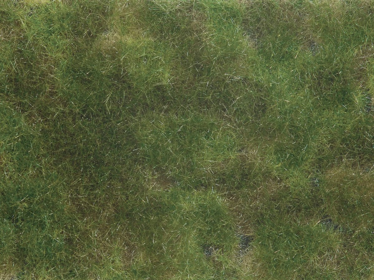 NOCH 07251 Bodendecker-Foliage olivgrün