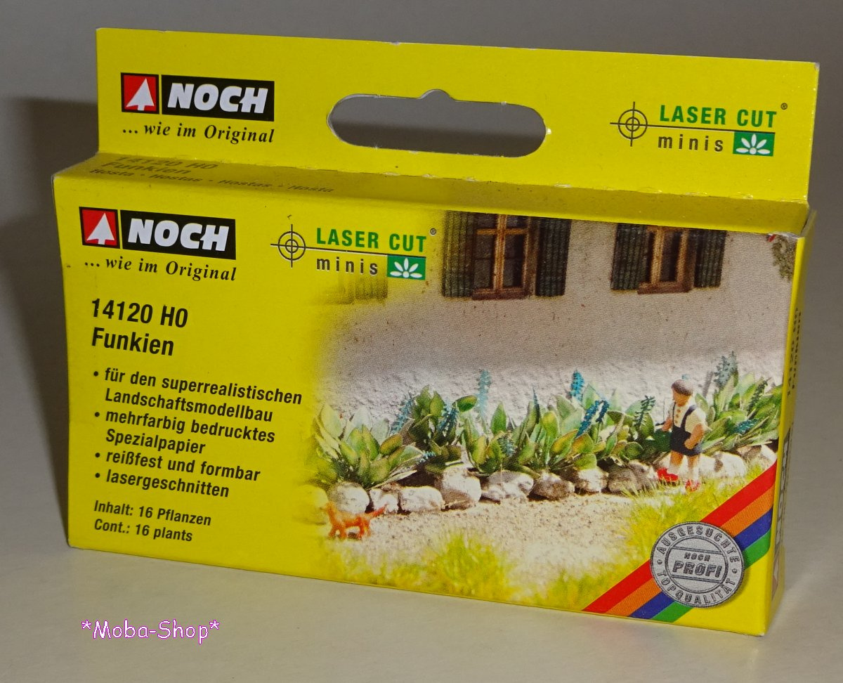 NOCH 14120 H0 LC minis »Funkien«, 16 Pflanzen