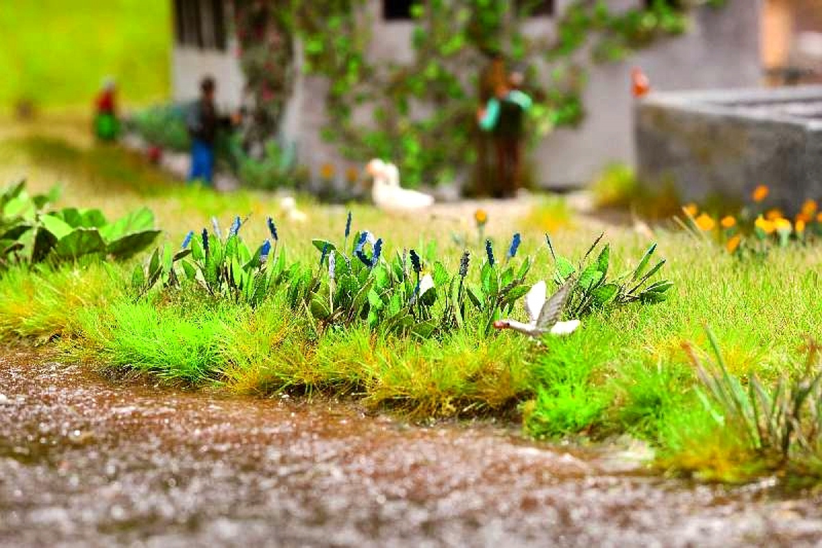 NOCH 14142 H0 LC minis »Hechtkraut«, 16 Pflanzen