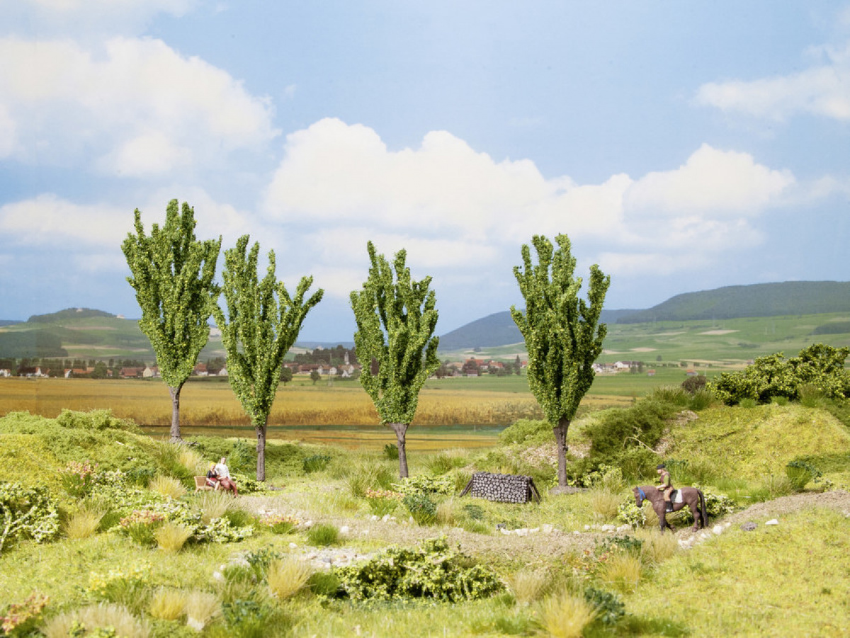 NOCH 21006 H0/TT/N 4x Pappel