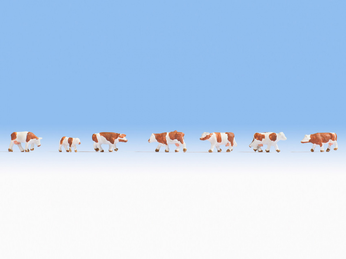 NOCH 44251 Z Kühe, braun/weiß