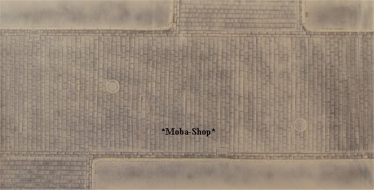 NOCH 57217 H0 3D Pflasterstraße mit Abzweigung, Strukturfolie