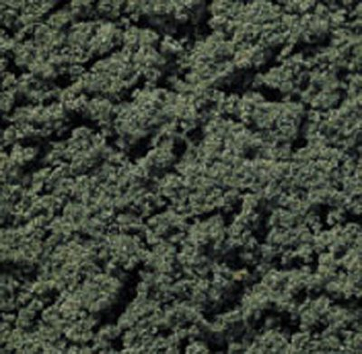 NOCH 95530 (Woodland FC184) Clump Foliage, dunkelgrün