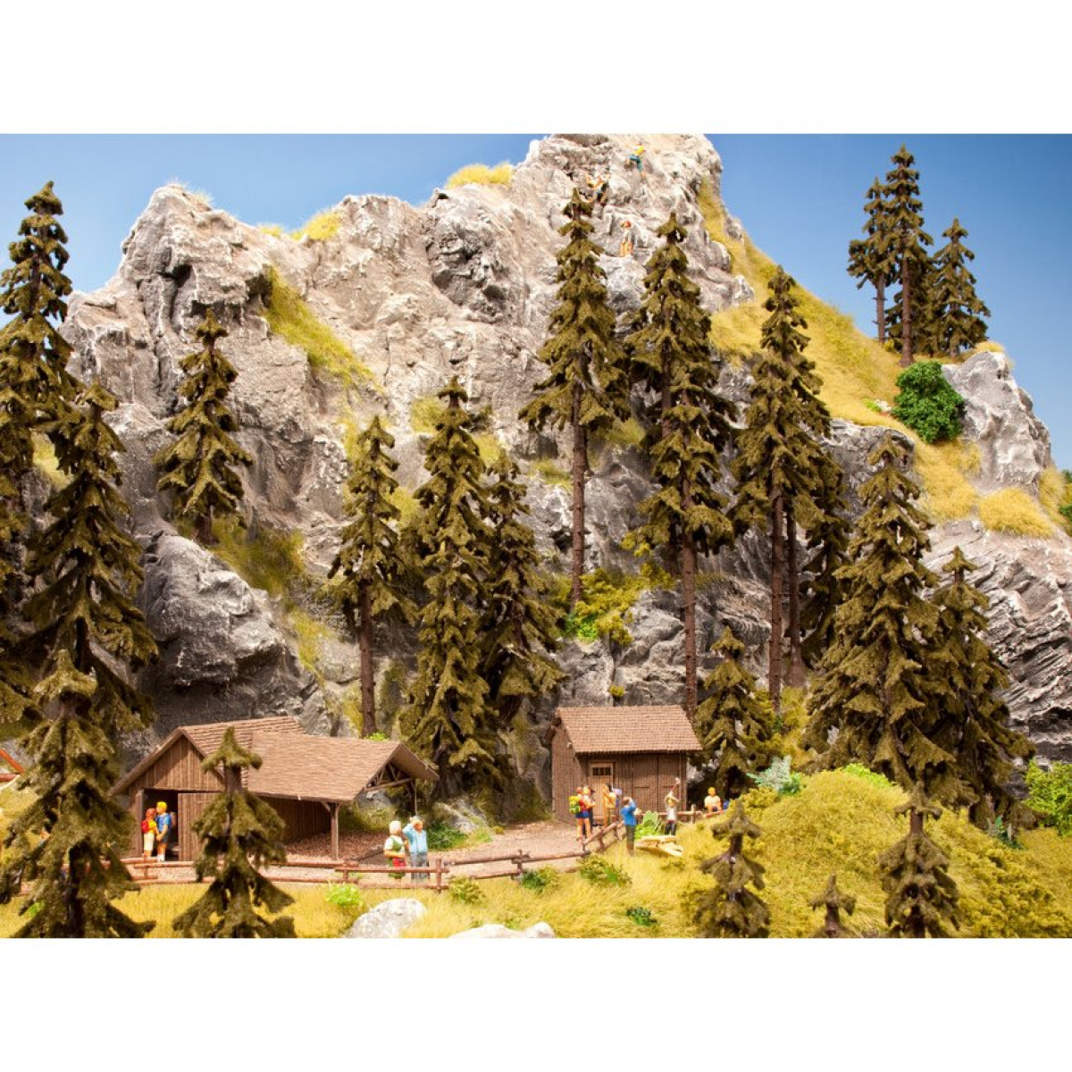 NOCH 21921 H0/TT/N Wetterfichten, 2 Stück