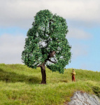 NOCH 20111 Eiche, 10cm hoch