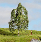 NOCH 20121 Hängebirke, 12cm hoch