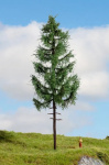 NOCH 20197 Hochstammfichte, 23cm hoch
